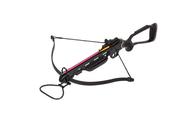 istock Modern crossbow isolate on a white background. Quiet weapon for hunting and sports. 1284788244