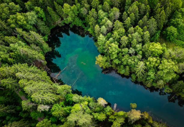 istock High angle view of trees and a blue lake 1284788595