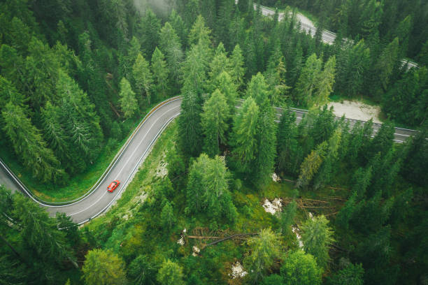 Aerial perspective of car driving up a wet road through the forest The road is empty and curving driving winding road stock pictures, royalty-free photos & images