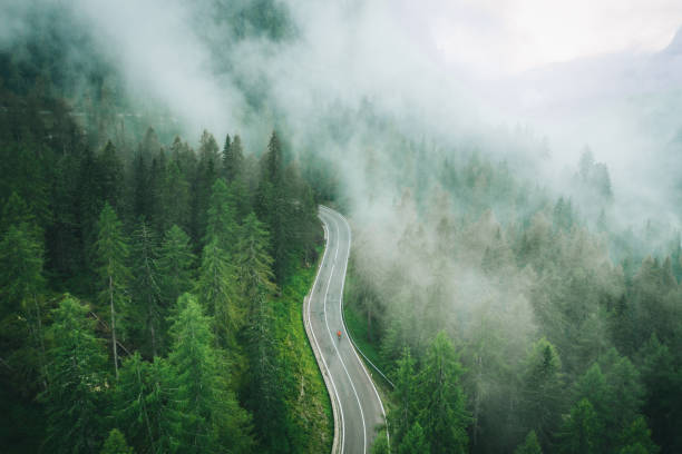 aerial perspective of road bicyclist riding up a wet road - growth nature tree forest imagens e fotografias de stock