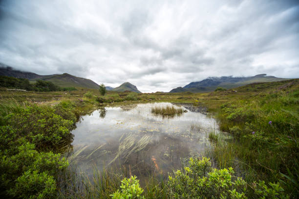 istock Pond, Skye island, Scotland 1284791239