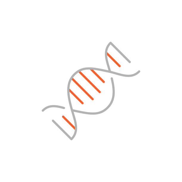 DNA Icon with Editable Stroke DNA Double Helix Icon with Editable Stroke laboratory technician icon stock illustrations