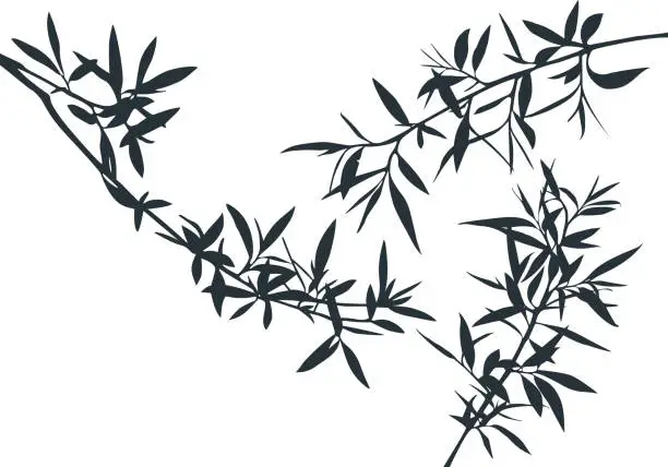 Vector illustration of Set of Olive Tree Branches Shapes. Vector Silhouette of Bamboo Rainforest