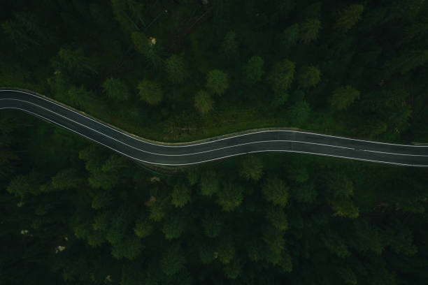 istock Aerial perspective of road curving through the forest 1284792519