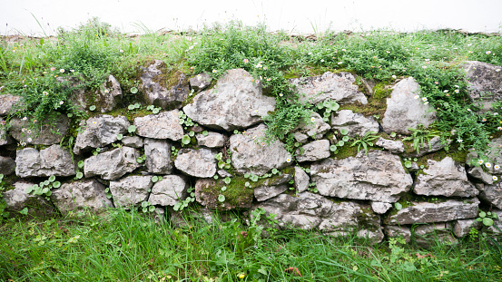 Stone wall on rural plot