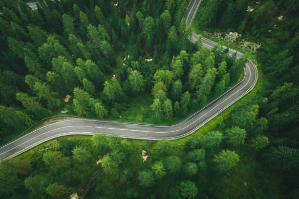 istock Aerial perspective of road curving through the forest 1284792829