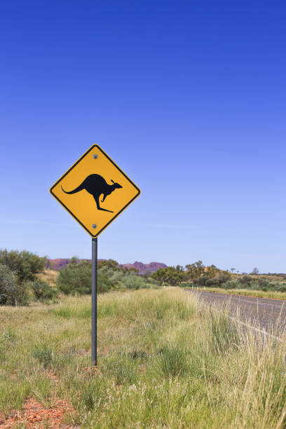 placa de estrada canguru, austrália. - wallaby kangaroo australian culture australia - fotografias e filmes do acervo