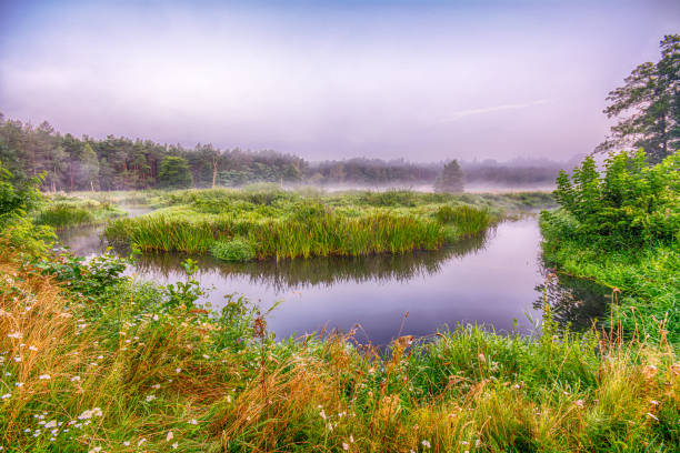 istock The Grabia river in central Poland. 1284794061