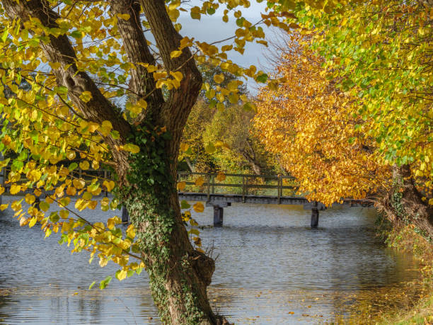 istock autumn time in the german muensterland 1284794198