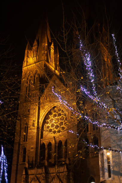 Christmas lights on a tree, in front of the illuminated Truro cathedral