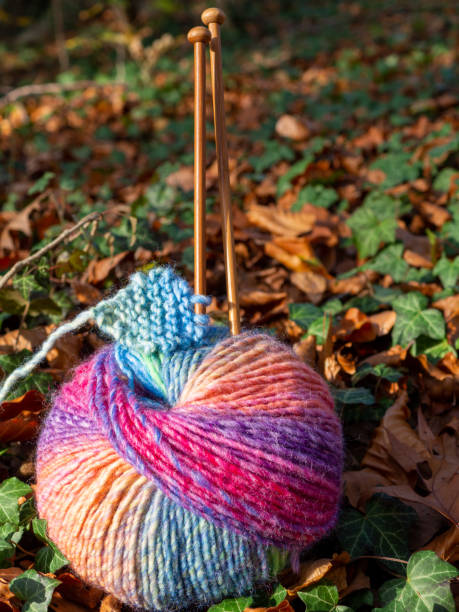 istock Colourful self striping yarn knitting themed photo 1284795539