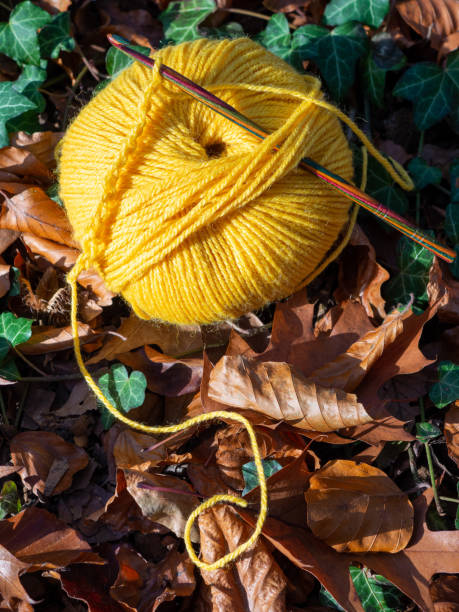 istock Autumn themed crochet background 1284795540