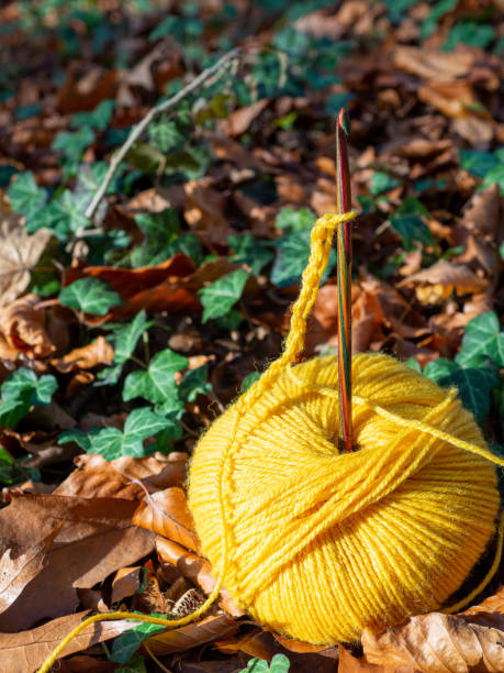 istock Autumn themed crochet background 1284795601