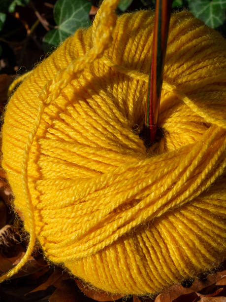 istock Autumn themed crochet background 1284795614