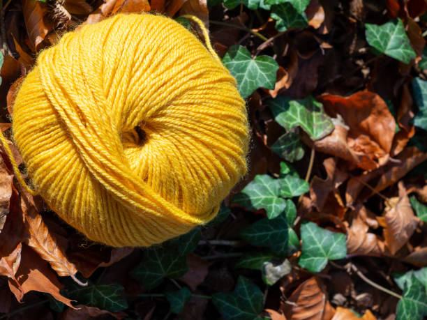 istock Autumn themed crochet background 1284795632