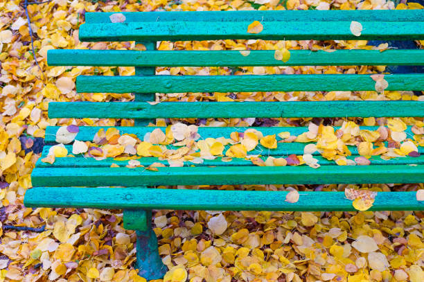 istock Bench autumn colorful leaves fall 1284795721