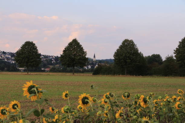 istock Landscape idyll in Wickede an der Ruhr 1284796776