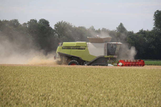 istock a big combine harvester is harvesting wheat in summer 1284796810