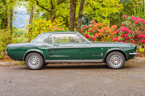 A green colored 1967 Ford Mustang is parked in a parking lot in Fort Langley, BC, Canada.