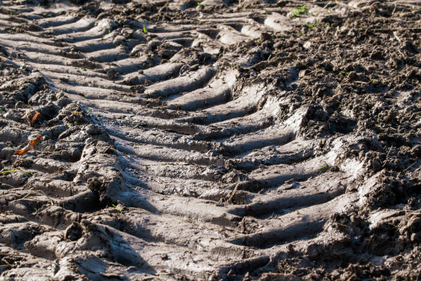 Footprint of wheel tread on the ground road. The trail from the tread of trucks wheels. Car tire tread imprint on sand, background, texture. Footprints rubber tyres from automobile