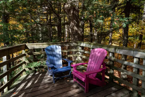 Photo of Autumn forest pathway at Kortright Centre Conservation, Woodbridge, Vaughan, Canada