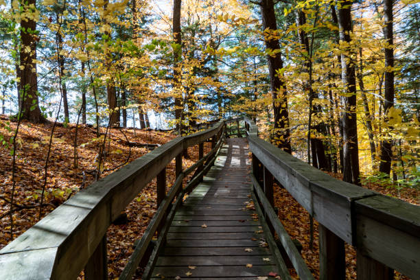 istock Autumn forest pathway at Kortright Centre Conservation, Woodbridge, Vaughan, Canada 1284798529
