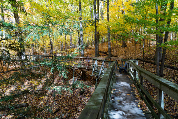 istock Autumn forest pathway at Kortright Centre Conservation, Woodbridge, Vaughan, Canada 1284798578