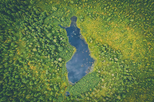 Nordic nature. High angle view. Small pond filmed with a drone.