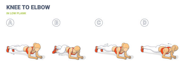 ilustrações de stock, clip art, desenhos animados e ícones de knee to elbow in low plank female home workout exercise guidance illustration - athlete muscular build yoga female