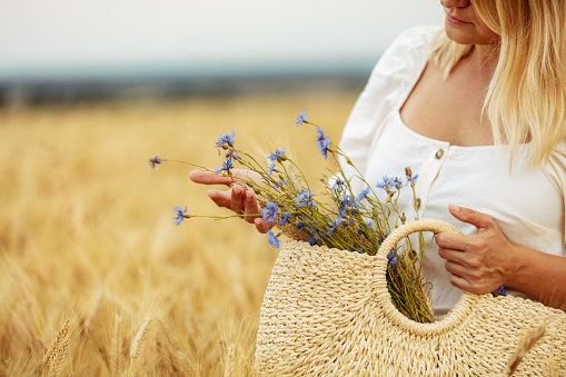 Photograph with view of the midsection a blond mature woman holding a bag with blue flowers in a wheat field and looking down