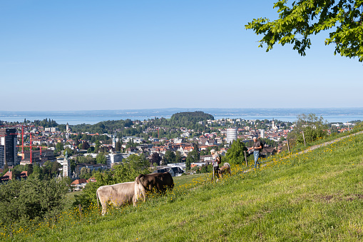 SANKT GALLEN, SWITZERLAND - MAY 7, 2020: St. Gallen is a city south of Lake Constance in northeastern Switzerland. Freudenberg is a recreational destination with the panoramic view of the town.