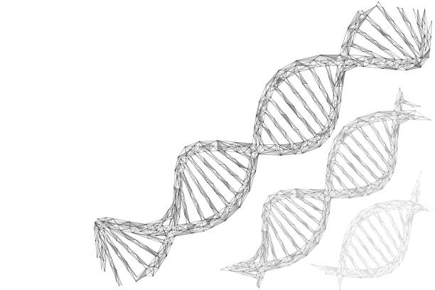 Dna Heliox Drawing 1,000+ Dna Helix Drawing Stock Illustrations, Royalty-Free Vector ...