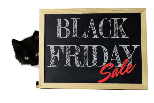 Photo of Black kitten peeks out from behind a sign with a white chalk inscription Black Friday Sale isolated on white background