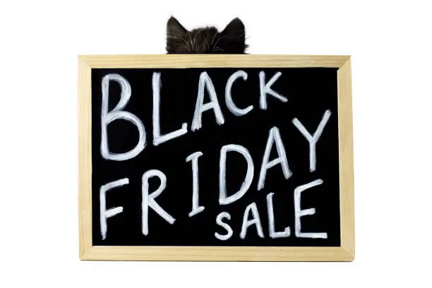 Photo of Black ears and head of kitten behind sign with white chalk inscription Black Friday Sale isolated on a white background