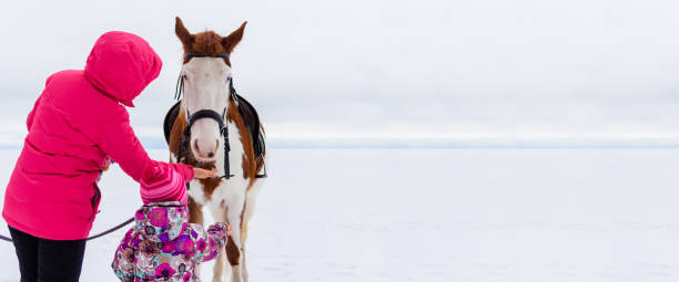 겨울 옷을 입고 어린 딸과 함께 어린 어머니가 크리스마스 휴가 기간 동안 흰색과 갈색 말을 먹입니다. - horse child animal feeding 뉴스 사진 이미지