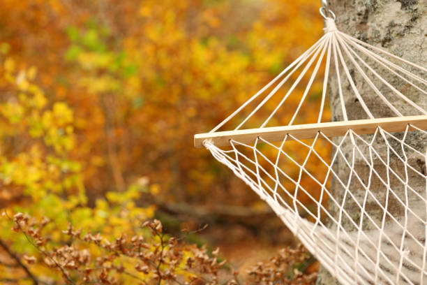 Hammock in a forest in autumn season