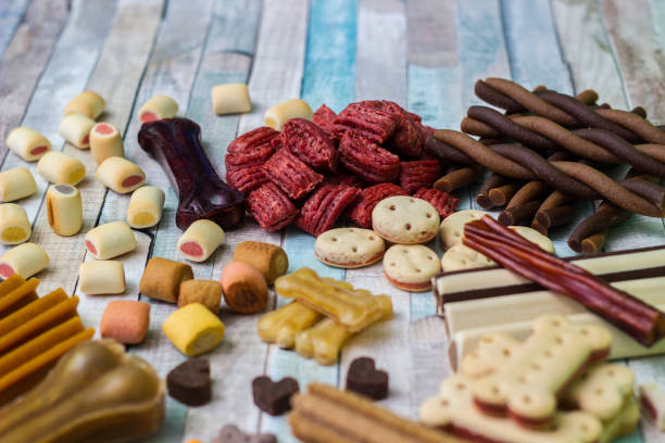 istock Pet food, snacks for dogs 1284812476