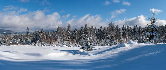 Winter remote alpine village outskirts, snow drifts on mountain fir forest edge. Tourist backpack on a freshly trodden hiking trail path. High resolution panorama.