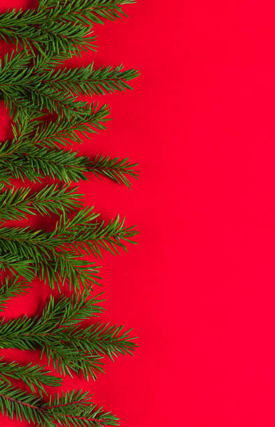 istock Christmas holidays composition fir branch on red background with copy space 1284814283