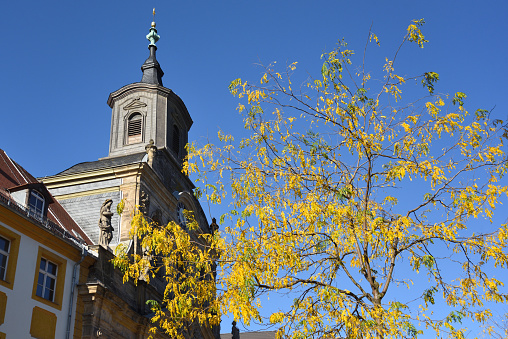 tree in autumn in front of a church in Bayreuth,Germany