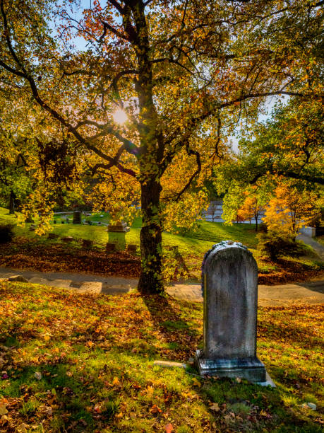 istock Green-Wood Cemetery in Autumn 1284815206
