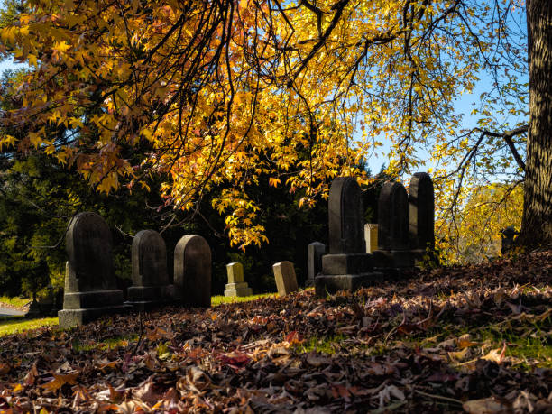 istock Green-Wood Cemetery in Autumn 1284815235