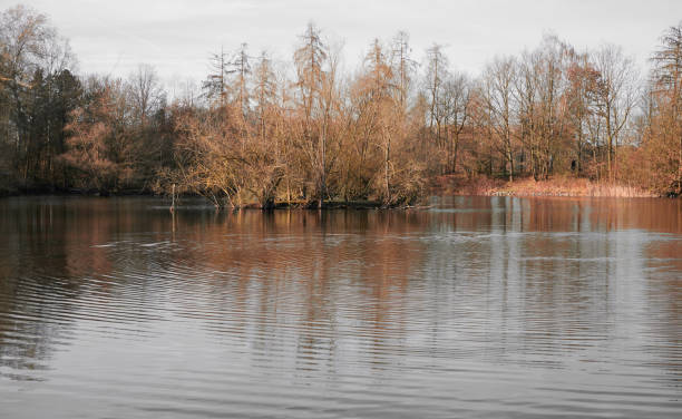 Lake in a autumnal forest, Darmstadt, Hessen ,Germany