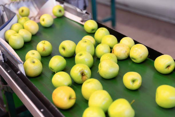 istock Fresh apples running on rolling conveyor of production line 1284817053