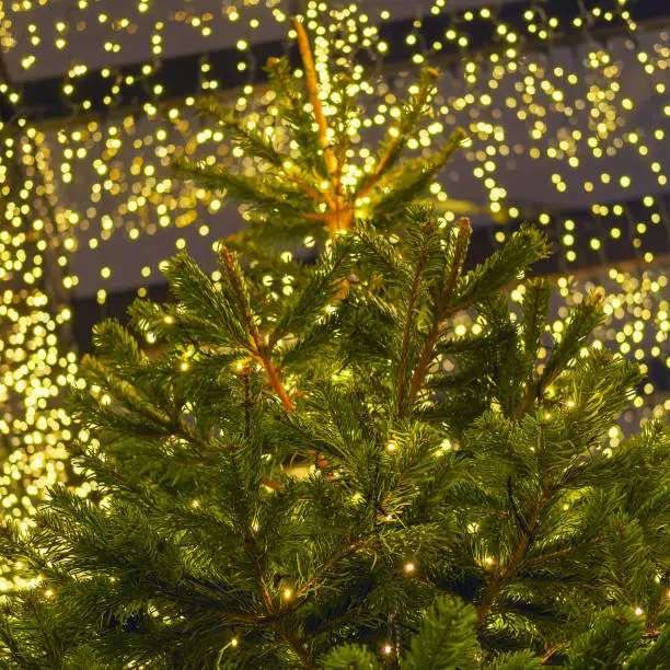 Photo of Bokeh from golden garland of Christmas tree, new year eve