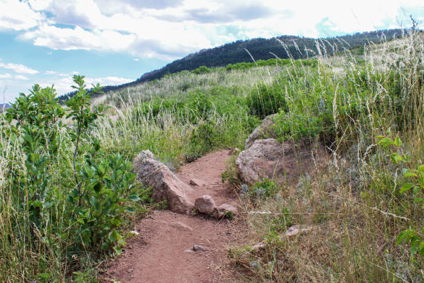 istock Mountain hiking trail at lory State park Colorado 1284826199