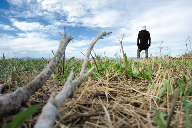 istock Young caucasian man looking to the horizon 1284826933