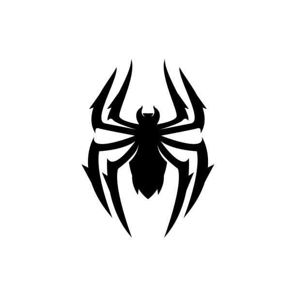 ilustrações de stock, clip art, desenhos animados e ícones de abstract spider vector icon black design isolated background - silhouette spider tarantula backgrounds