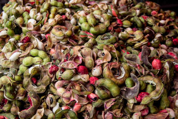 istock Fresh Manila tamarind, mexican guamuchil 1284829125