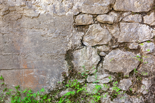 The old cobblestone wall is covered with plants, used as a background or texture